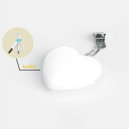 LED Purse light