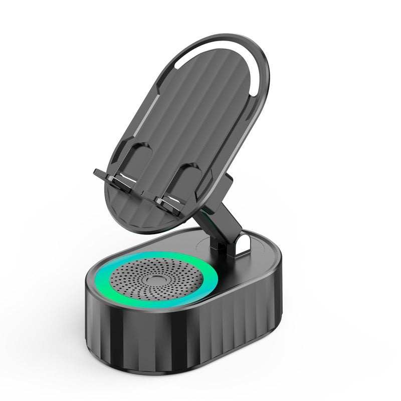 Wireless induction speaker