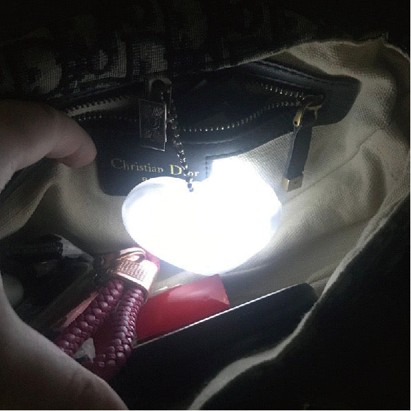 LED Purse light
