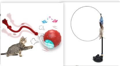 Cat toy