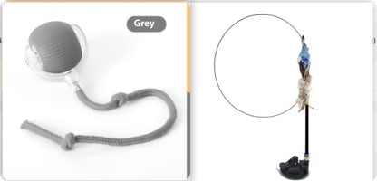 Cat toy