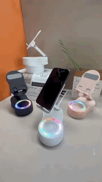 Wireless induction speaker