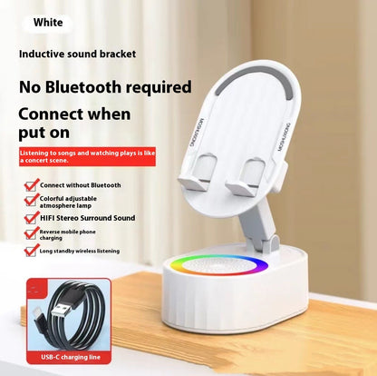 Wireless induction speaker