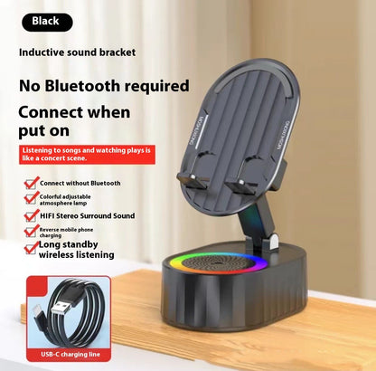 Wireless induction speaker