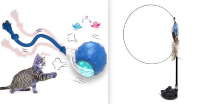 Cat toy